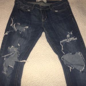 Hollister Jean very distressed